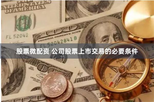 股票微配资 公司股票上市交易的必要条件