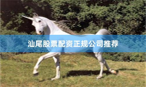 汕尾股票配资正规公司推荐
